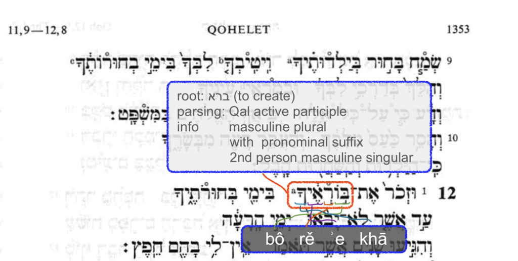 your creator in Hebrew in eccl 12:1