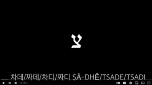 차데/짜데/차디/짜디 ṣā-dhê/tsade/tsadi